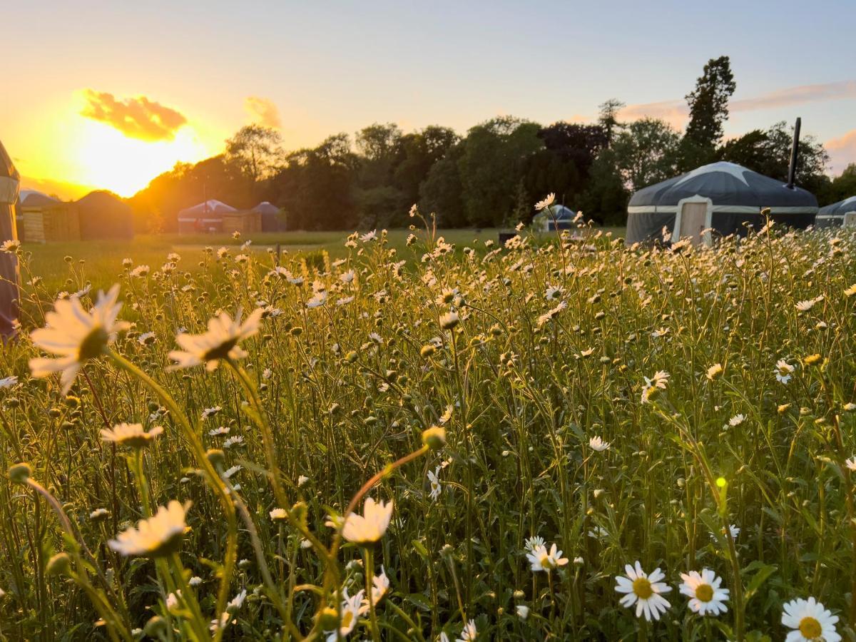 Wild Meadow, Lodge Farm, East Raynham Fakenham Dış mekan fotoğraf